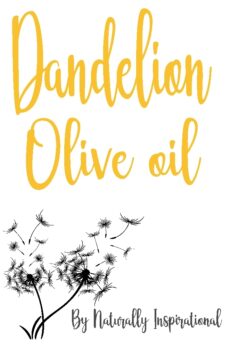 Dandelion Olive oil.